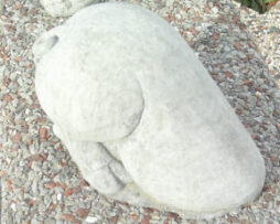 Pig - Back Half