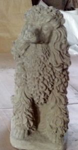 poodle 12 inch