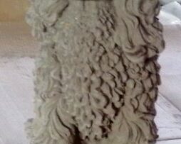 Dog - Poodle