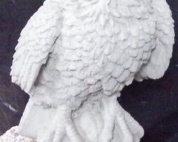 Eagle - Small