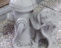Puppy With Fire Hydrant
