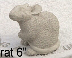Rat