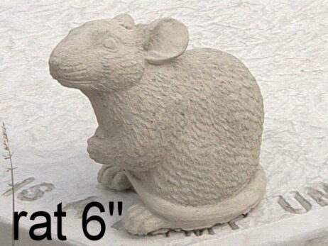 Rat