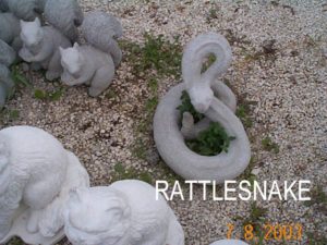rattle snake