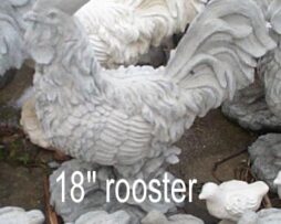 Rooster
