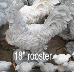 rooster