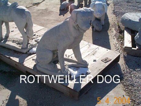 Rottweiler