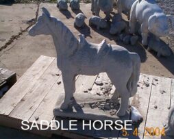 Saddlehorse