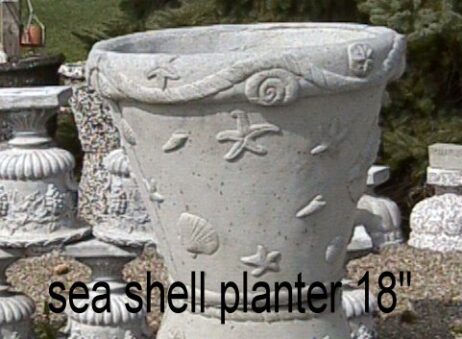 seashell planter