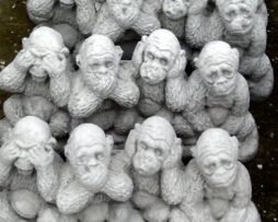 Monkey - See, Hear, Speak No Evil