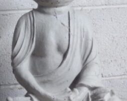 Frog - Buddha (Skinny)