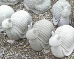 Snail