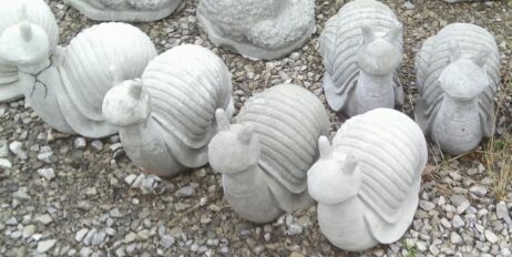 Snail