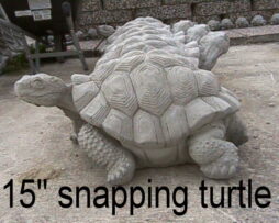 Turtle - Snapping