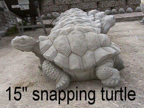 Turtle - Snapping