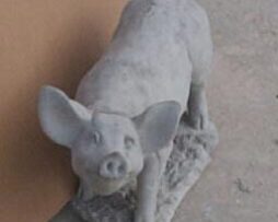 Pig - Snout Up