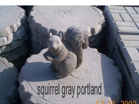 Squirrel