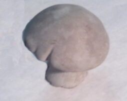 Toadstool - Small