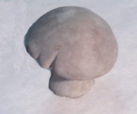 Toadstool - Small