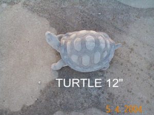 turtle 1