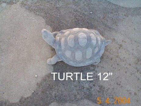 Turtle - Medium