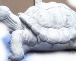 Turtle - Medium #3