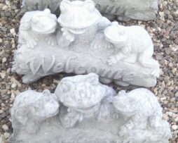 Welcome - Frogs