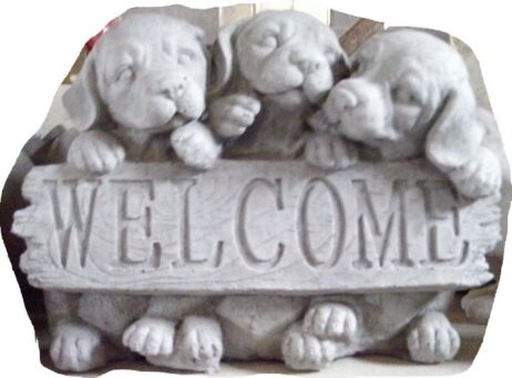 Welcome Thing - Puppies