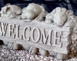 welcome cow pig sheep