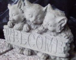 Welcome Thing - Kittens