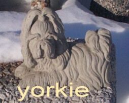 Yorkie