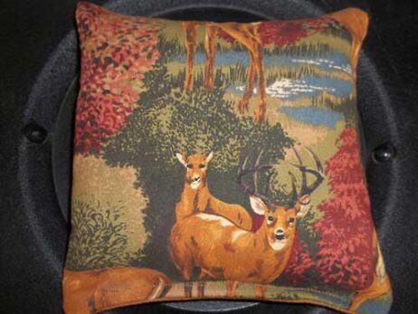 Forest - Deer