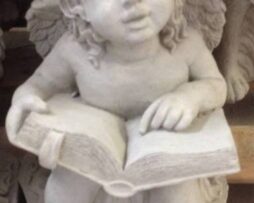 ANGEL READING