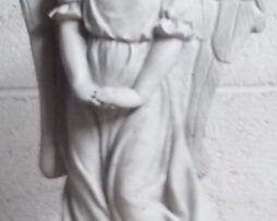 angel 12 inch