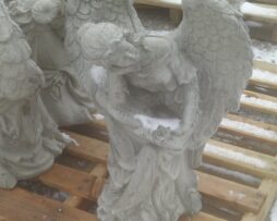 angel elbow on wing
